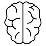 Brain